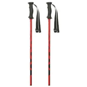 Masters Bâtons Carbon Rtl