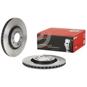2 disques de frein brembo 09.d420.11