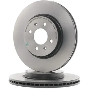 Brembo Remschijf