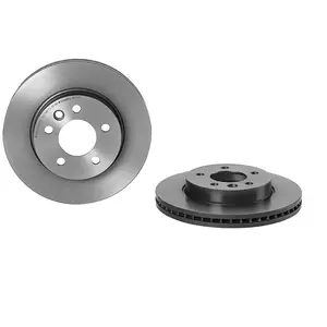 Brembo Remschijf pas cher