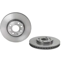 Brembo Remschijf