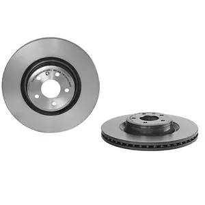 Brembo Remschijf pas cher