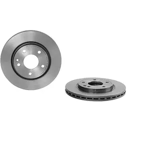 Brembo Remschijf