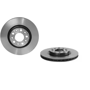 Brembo Remschijf pas cher