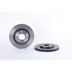 Brembo Remschijf pas cher
