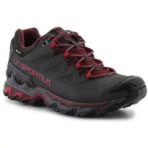 La Sportiva Ultra Raptor Ii Leren Goretex-wandelschoenen Grijs EU 42 ManVendu pargalaxus