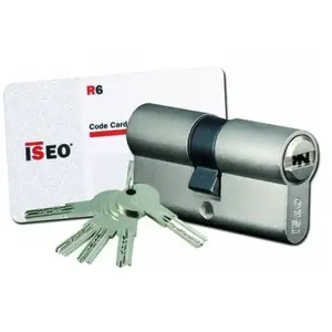 Cylindre de sécurité double entrée IS R6 30X60 nickelé - ISEO - 880930... pas cher