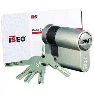 Cylindre européen nickelé IS R6 30 X 10 varié - ISEO - 880930109..5Vendu parcdiscount