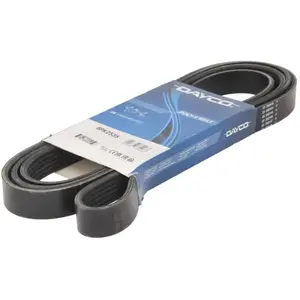 Poly V-riem 6PK2535 DAYCO pas cher
