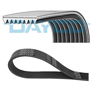 Poly V-riem 8PK1040HD DAYCO pas cher