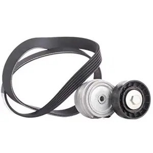 DAYCO Kit de courroie d'accessoire pour IVECO: Daily (Ref: KPV038)Vendu paroscaro
