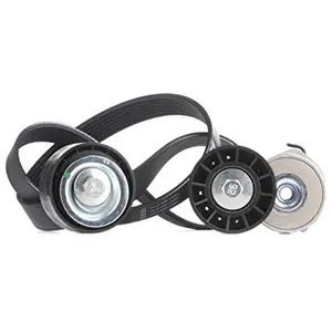 Dayco Multiriem set pas cher