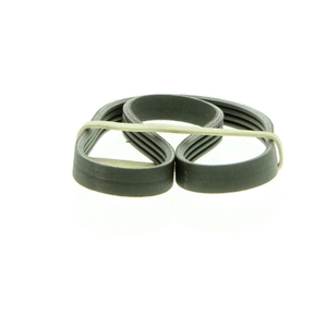 Multiriem 4PK698 DAYCO