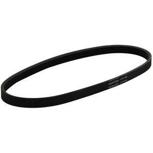 DAYCO Multiriem