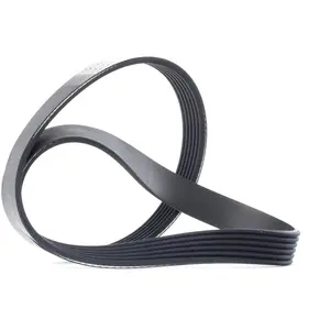 DAYCO Multiriem pas cher