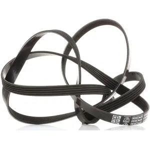 Dayco Multiriem pas cher