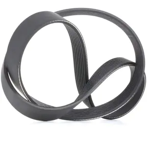 Comparateur de prix : Dayco Multiriem