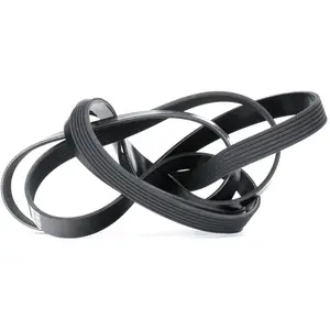 Comparateur de prix : Multiriem 6PK2460 DAYCO