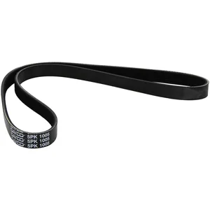 Dayco Multiriem pas cher