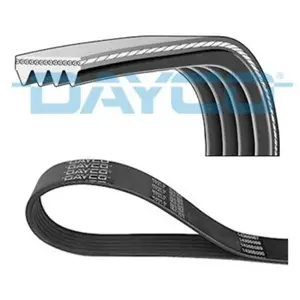DAYCO Courroie trapézoïdale à nervures pour TOYOTA: Yaris, Yaris Verso...Vendu paroscaro