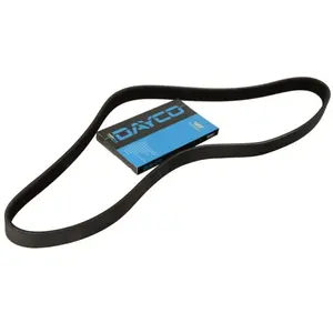 Comparateur de prix : Dayco Multiriem