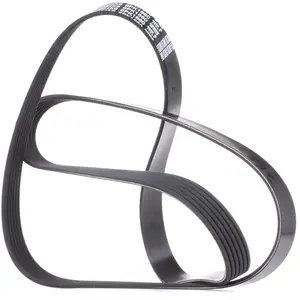 Dayco Multiriem pas cher