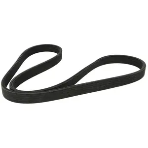 Dayco Multiriem pas cher