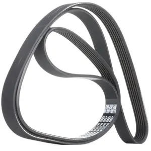 Comparateur de prix : Dayco Multiriem