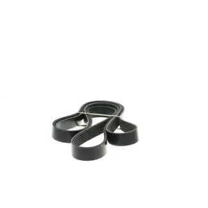 DAYCO Multiriem pas cher