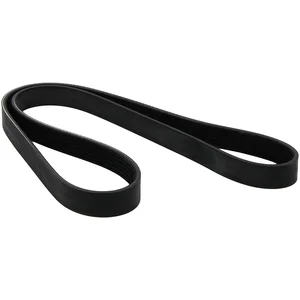DAYCO Multiriem pas cher