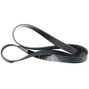 Comparateur de prix : Dayco Multiriem