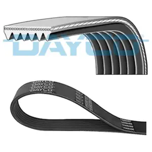 Dayco Multiriem pas cher