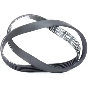 DAYCO Multiriem pas cher