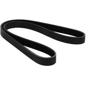 Dayco 5PK954 Courroie Striée pas cher
