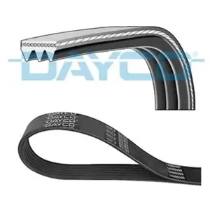 DAYCO 3PK853 Courroie Accessoire