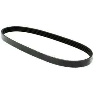 DAYCO Multiriem pas cher