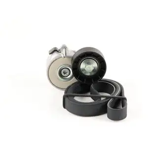 Multiriem set KPV110 DAYCO pas cher
