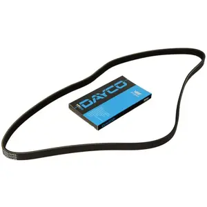 Comparateur de prix : Dayco Multiriem
