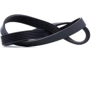 Dayco Multiriem pas cher