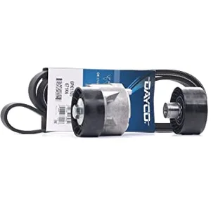 DAYCO kpv242 Courroie trapézoïdale striéeVendu paroscaro