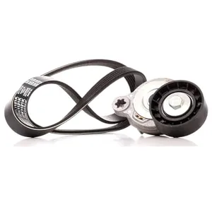 Poly V-riem set KPV279 DAYCO pas cher