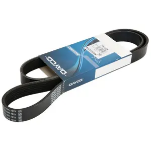 Dayco Multiriem pas cher