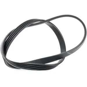 DAYCO Multiriem pas cher