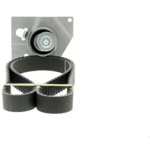 Dayco Distributieriemset