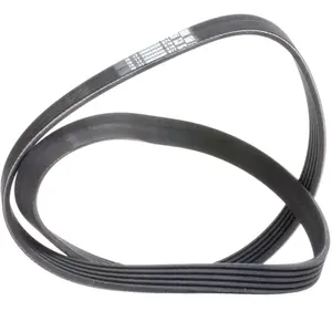 Dayco Multiriem pas cher