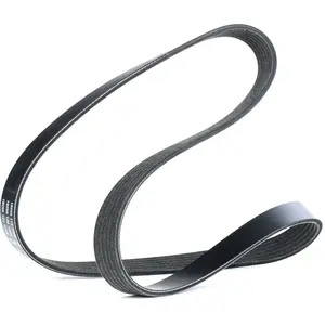 Dayco Multiriem pas cher