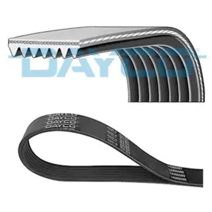 Dayco Poly V-riem pas cher