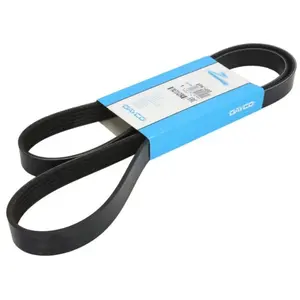 Comparateur de prix : Dayco Multiriem