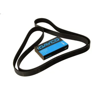 Comparateur de prix : Dayco Multiriem