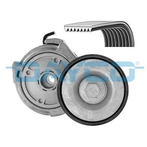 DAYCO Multiriem set